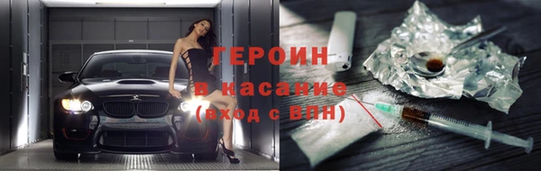 прущие грибы Михайловск