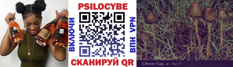 Галлюциногенные грибы Cubensis  Задонск 